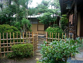 �����F�|�N���X�̎ʐ^-8