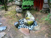 �����F�|�N���X�̎ʐ^-9