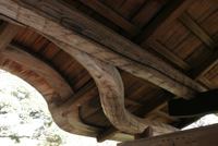 �p��W�̎ʐ^-14