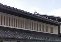 �p��W�̎ʐ^-17