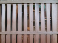 �p��W�̎ʐ^-18