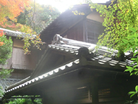 �p��W�̎ʐ^-4