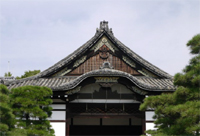 �p��W�̎ʐ^-6